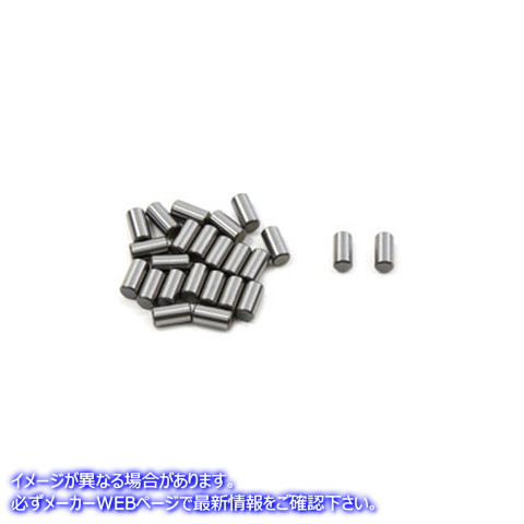 10-0303 左側ケースローラーベアリングセット .0006 取寄せ Vツイン Left Side Case Roller Bearing Set .0006 (検索用／9223