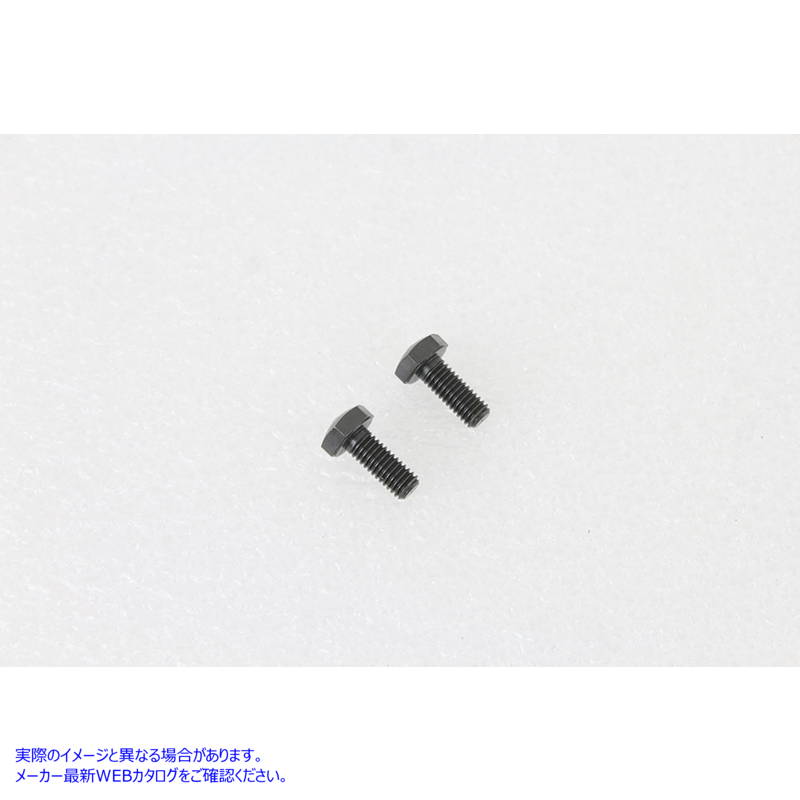 17-0376 45インチW/G 2速ギアブラケットネジセット 取寄せ Vツイン 45 inch W/G 2nd Gear Bracket Screw Set (検索用／3754