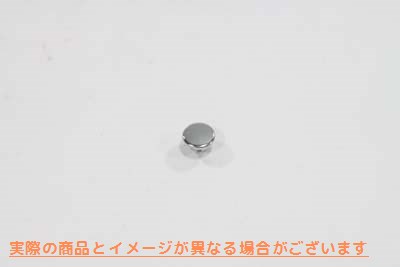 2165-100 5/16 インチ六角ネジプラグ 取寄せ Vツイン 5/16 inch Allen Screw Plugs (検索用／ Colony