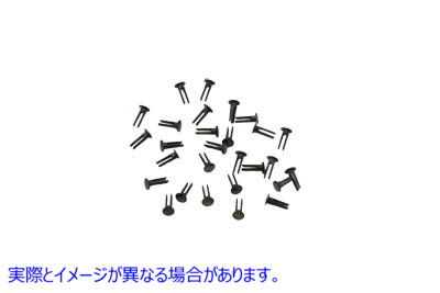 27-0597 フットボードブラックリベット 取寄せ Vツイン Footboard Black Rivets (検索用／50616-14