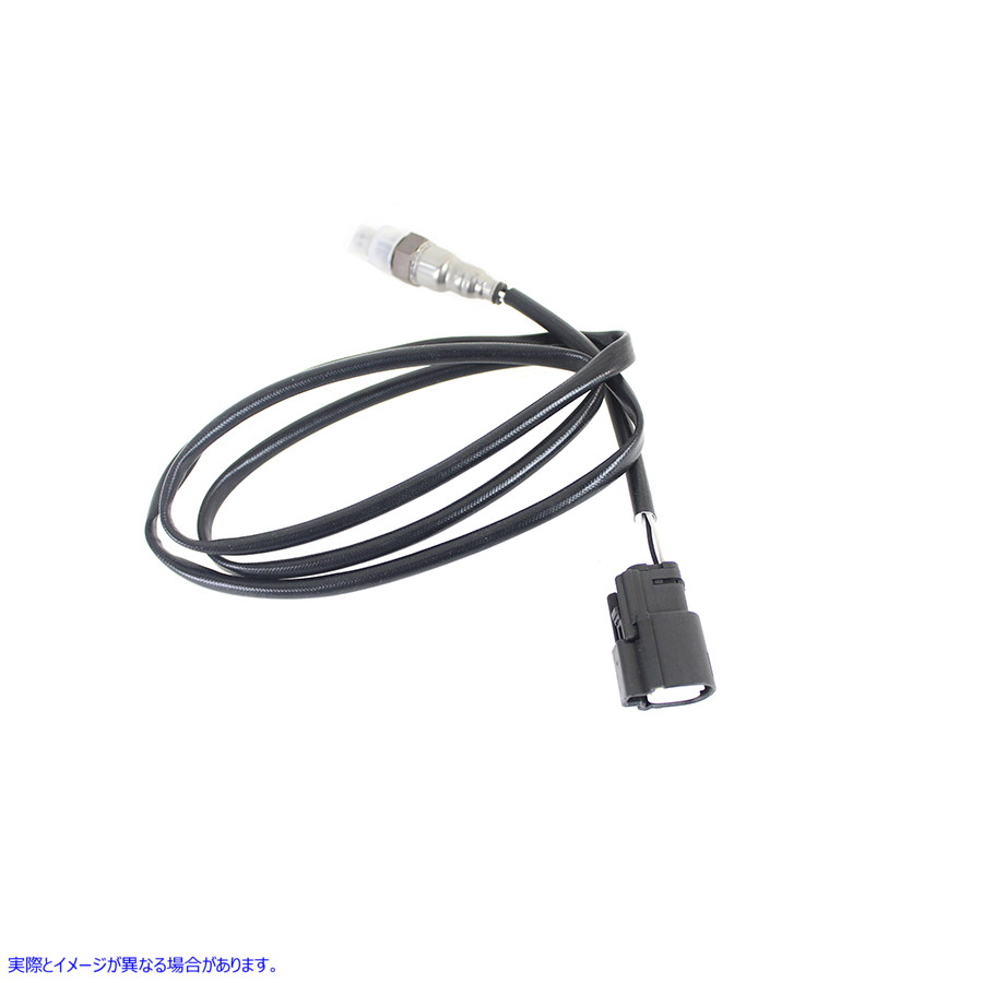 30-0497 排気酸素センサー フロントまたはリア 取寄せ Vツイン Exhaust Oxygen Sensor Front or Rear (検索用／32700083 Cycle P