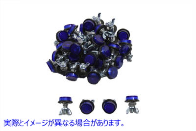 37-0015 ナンバープレートフレームリフレクターセット ブルー 取寄せ Vツイン License Plate Frame Reflector Set Blue (検索用