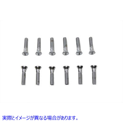 37-8519 カムカバーネジセット Cam Cover Screw Set 取寄せ Vツイン (検索用／ Delkron D2010