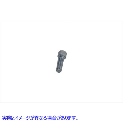 37-9173 トランスミッションベアリングマウントプレートネジ Transmission Bearing Mount Plate Screw 取寄せ Vツイン (検索用／