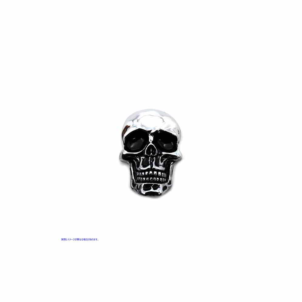 48-0495 ピューター スカル エンブレム 取寄せ Vツイン Pewter Skull Emblem (検索用／