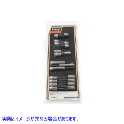 8481-20  取寄せ Vツイン Chrome Primary Cover Screw Kit Acorn (検索用／ Colony 41-581