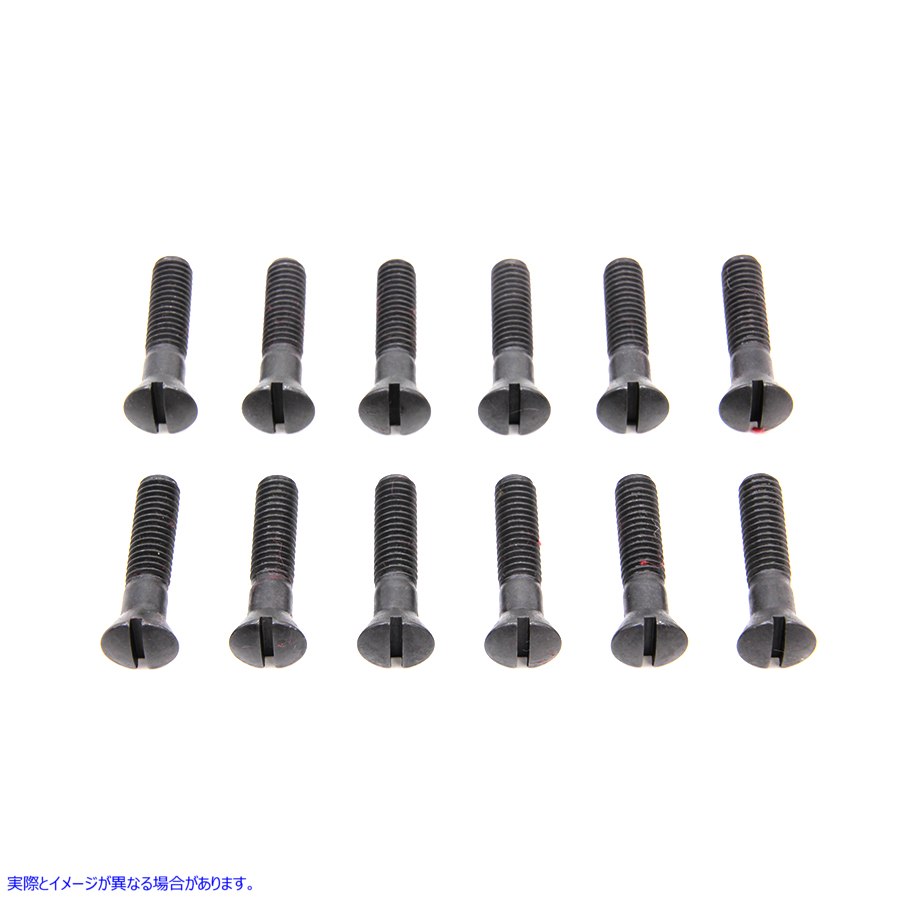 9621-12 カムカバースクリューキット パーカーライズド Cam Cover Screw Kit Parkerized 取寄せ Vツイン (検索用／ Colony