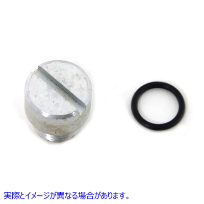 9645-2 タペットスクリーン オイルプラグ カドミウム 取寄せ Vツイン Tappet Screen Oil Plug Cadmium (検索用／ Colony