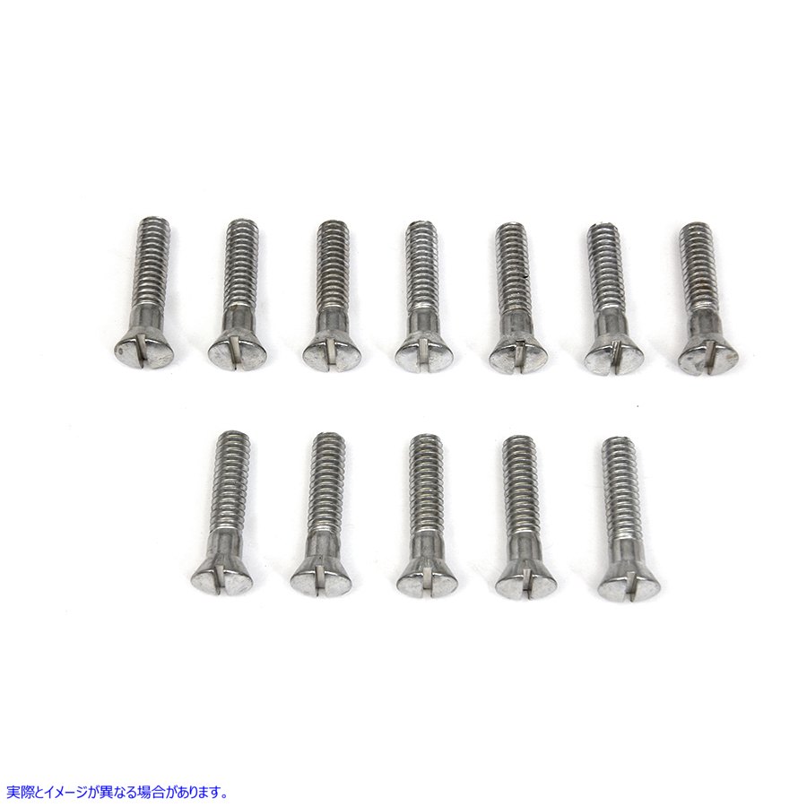 9795-12 カムカバースクリューキット カドミウム 取寄せ Vツイン Cam Cover Screw Kit Cadmium (検索用／ Colony