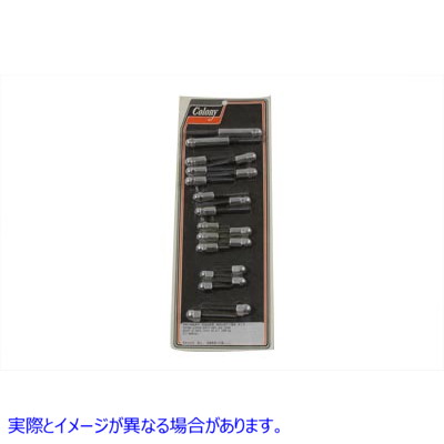 9958-19 プライマリー カバー マウント キット Acorn Chrome 取寄せ Vツイン Primary Cover Mount Kit Acorn Chrome (検索用／ C